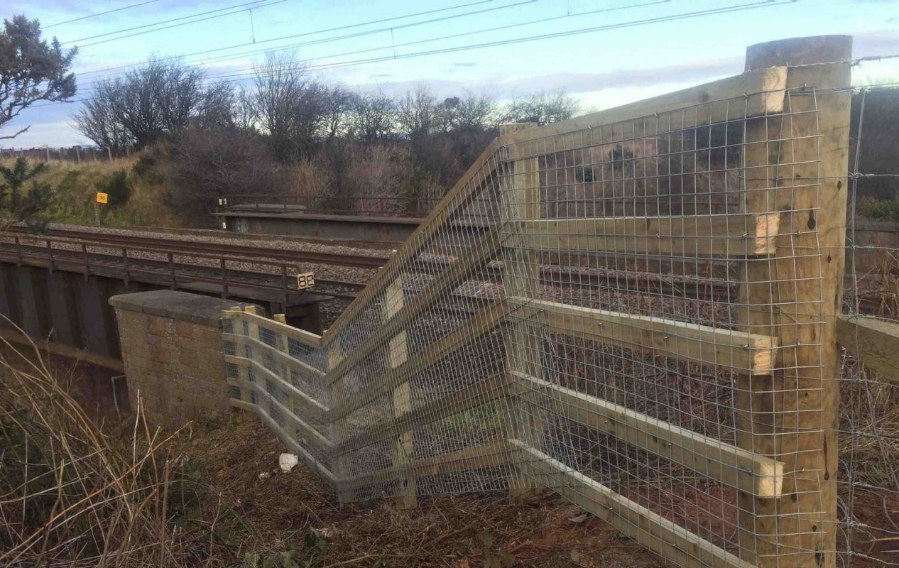 mesh fencing between wooden posts