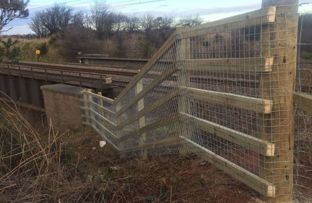 mesh fencing between wooden posts